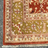 Load image into Gallery viewer, 10&#39; x 15&#39;  Traditional Fine Quality Jaipur Rug CORAL 74915