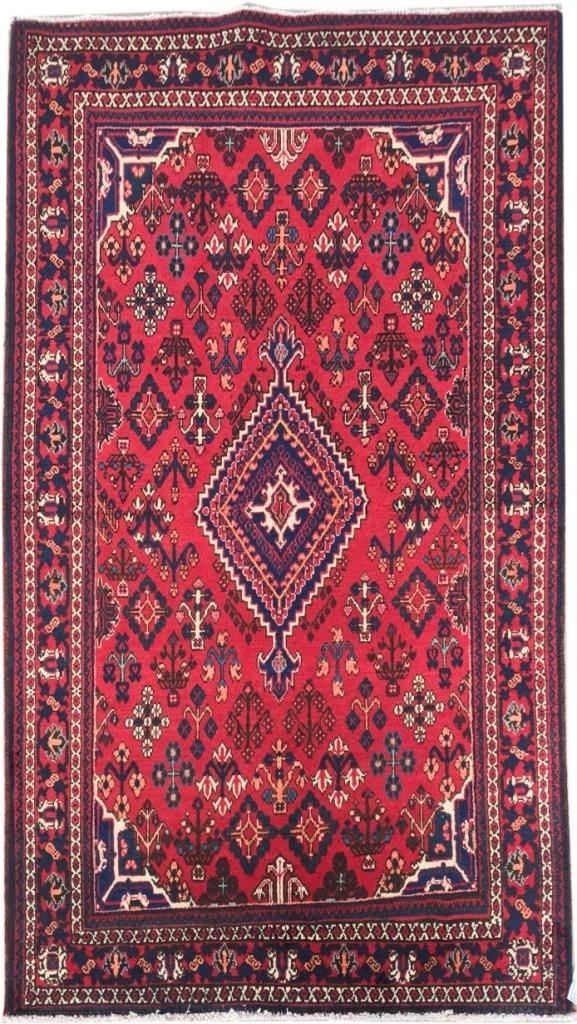 4' x 7' Dark Salmon Persian Josheghan Rug 81589 | www.bestrugplace.com ...