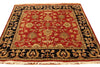 Load image into Gallery viewer, 5&#39; x 5&#39;-Red-Square-Indo-Kashan-Rug.jpg