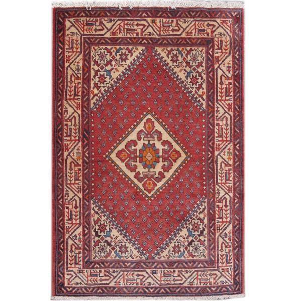 Luxurious 3x6 Authentic Hand-knotted Persian Hamadan Rug - Iran - bestrugplace