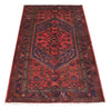 Load image into Gallery viewer, Luxurious-Persian-Hamadan-Rug.jpg