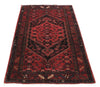 Load image into Gallery viewer,  Luxurious-Persian-Hamadan-Rug.jpg