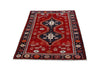 Load image into Gallery viewer, Luxurious-Authentic-Persian-Hamadan-Rug.jpg